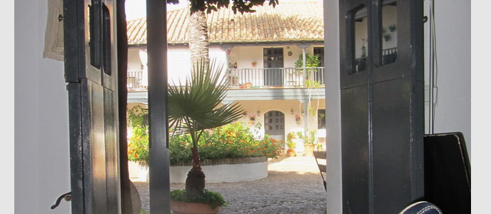 vista del salon 